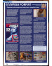 Digital Edition PDF - Pixel Addict Magazine Issue 10